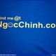 Áo thu SEO - NgocChinh.com